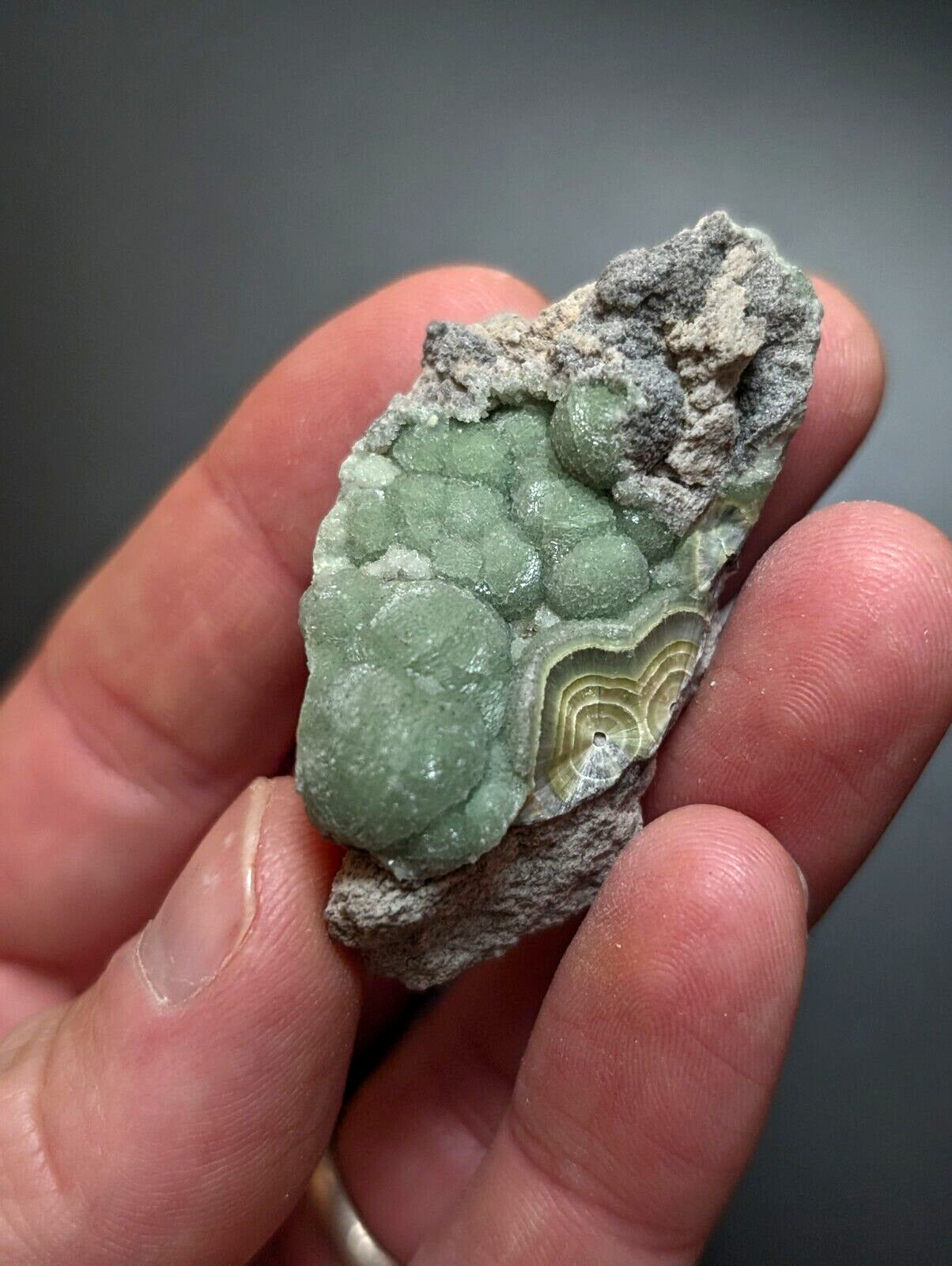 Wavellite -Old Stock - Mauldin Mountain, Arkansas