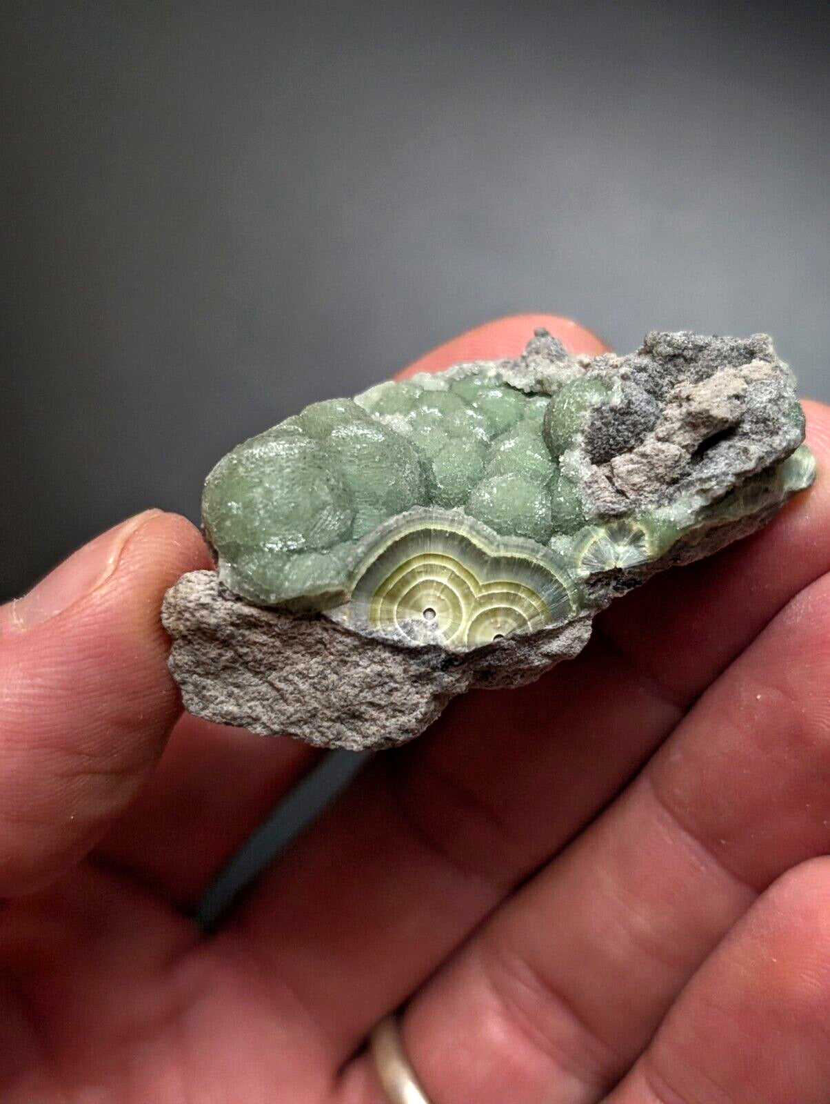 Wavellite -Old Stock - Mauldin Mountain, Arkansas