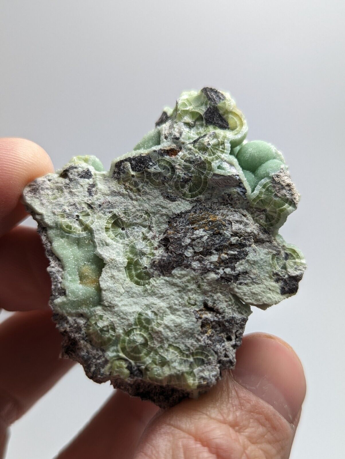 Spectacular Wavellite - Amazing Old Stock - Mauldin Mountain, Arkansas