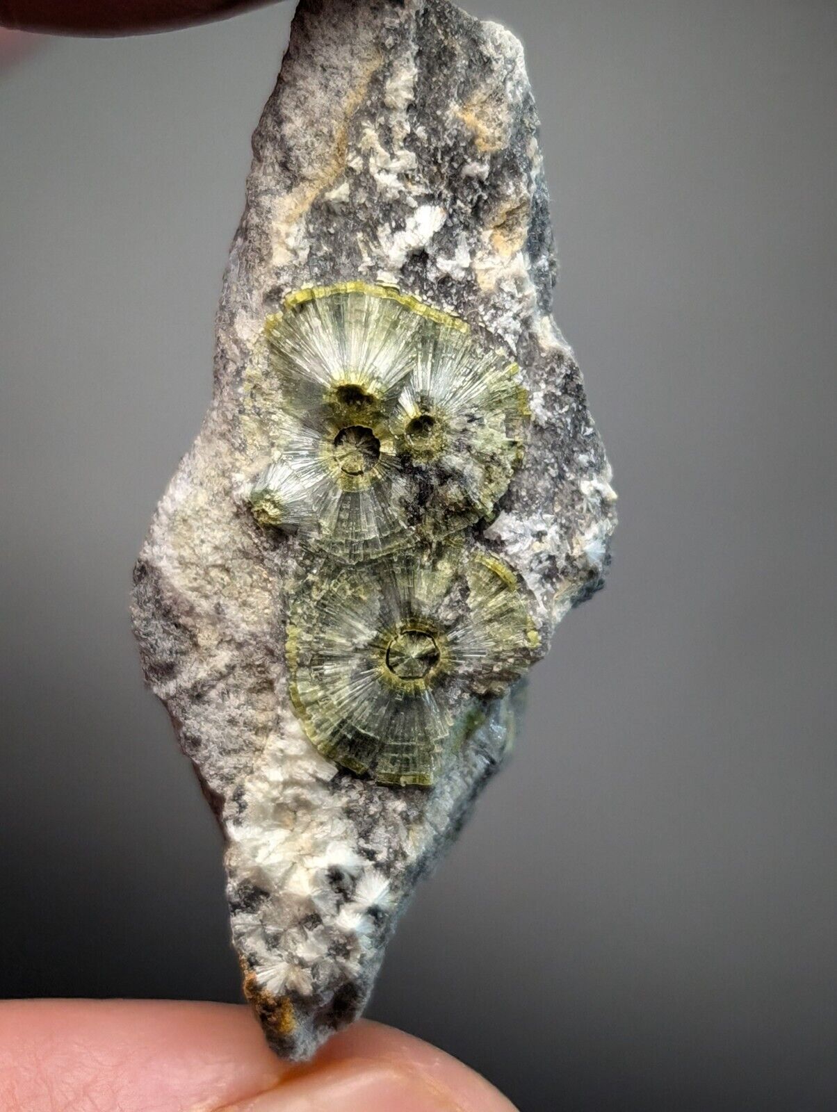 UV Reactive Wavellite -Old Stock - Mauldin Mountain, Arkansas, Amazing Eye Forms