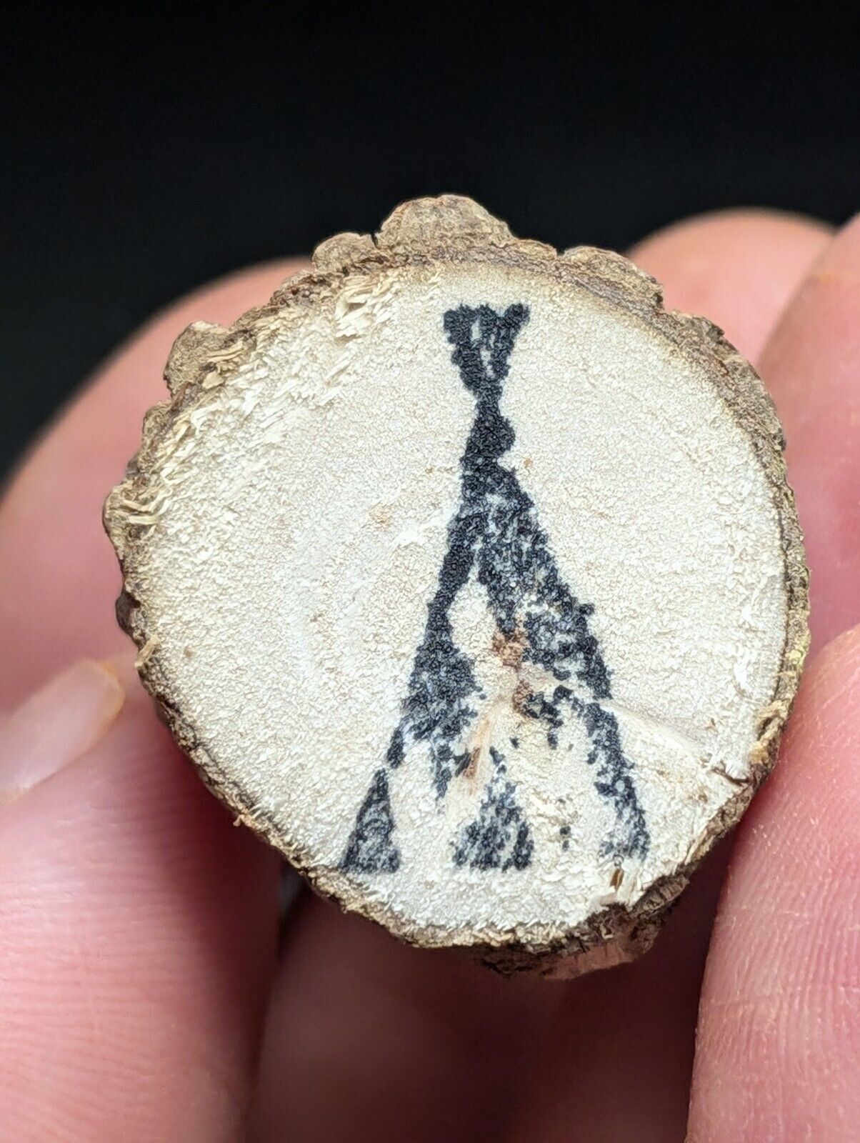 Brookite on Smoky Quartz, Magnet Cove, Arkansas, USA, Old Stock, w/ wood display