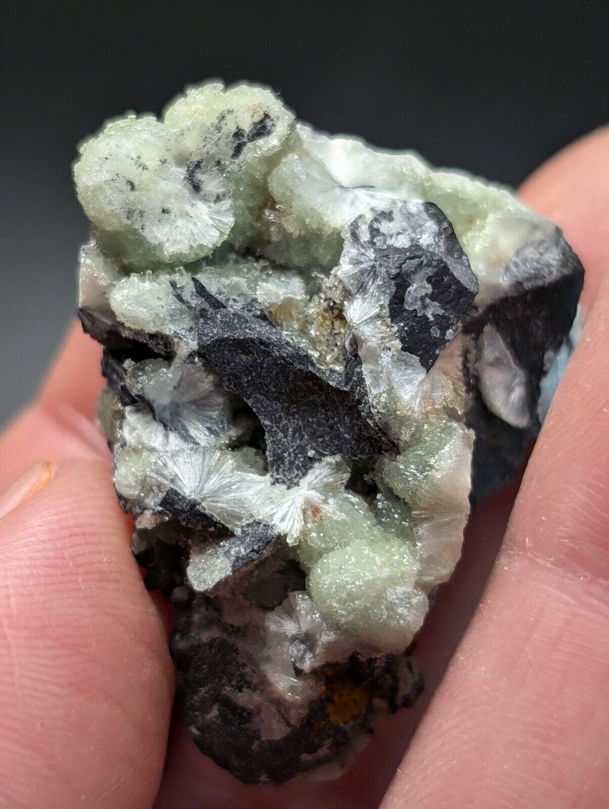 Amazing Wavellite Specimen (Arkansas, USA)  - OOAK Natural Crystal Cluster