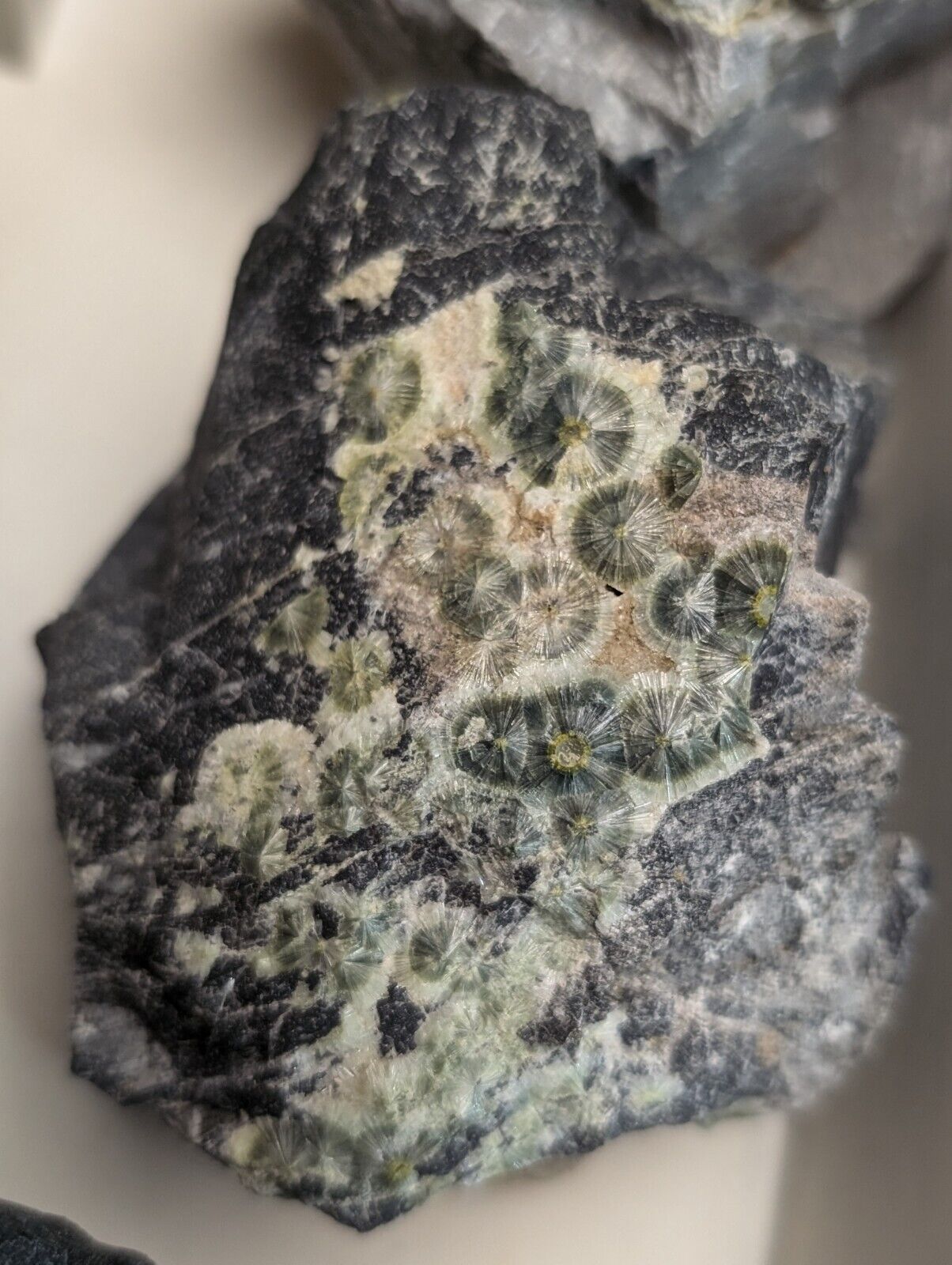 Flat of 12 Wavellite, Planerite, Variscite, Kidwellite Specimens - Arkansas, USA