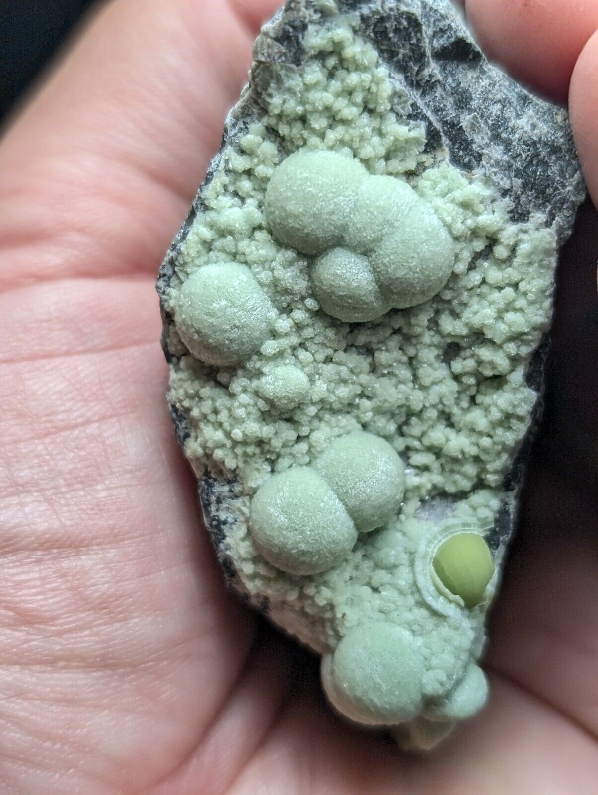 Amazing Wavellite Specimen (Arkansas, USA)  - OOAK Natural Crystal Cluster