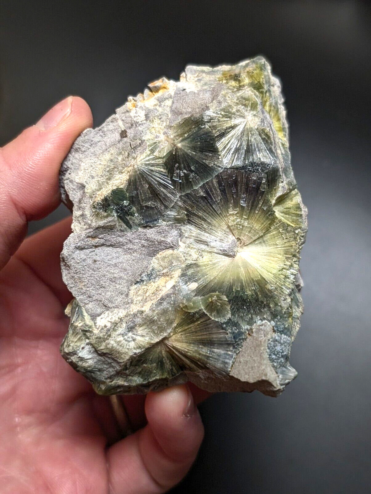 Wavellite, Big Eyes - Old Stock - Delinde Mine, 1960s - Garland County, Arkansas