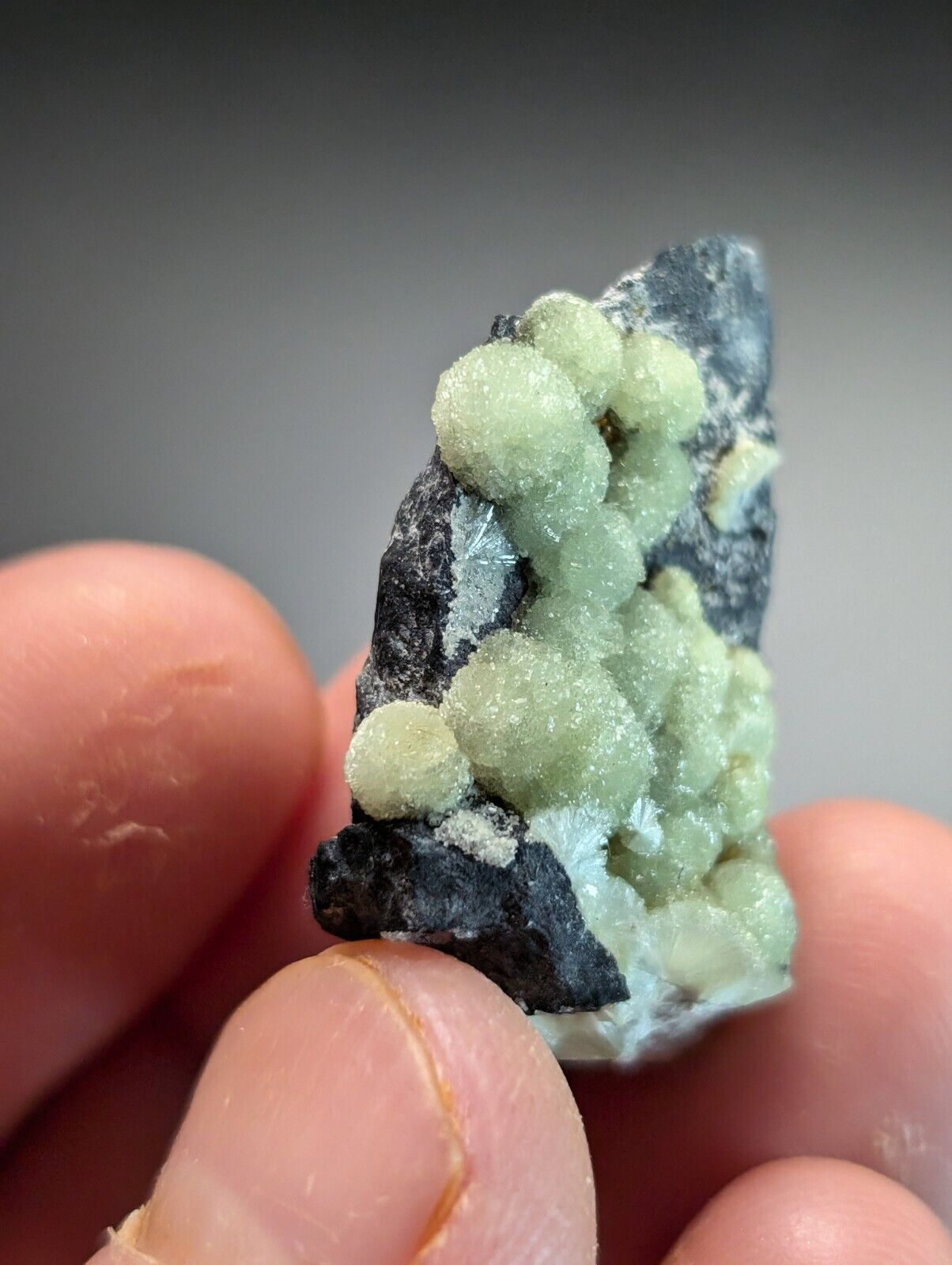 Amazing A+ Wavellite Specimen (Arkansas, USA)  - OOAK Natural Crystal Cluster