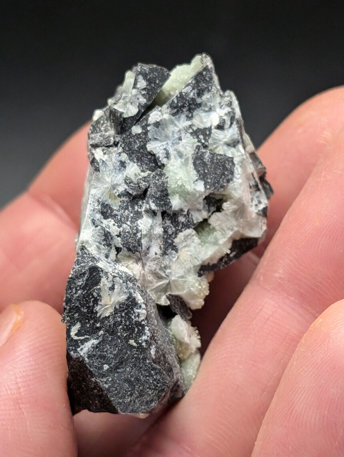 Amazing Wavellite Specimen (Arkansas, USA)  - OOAK Natural Crystal Cluster