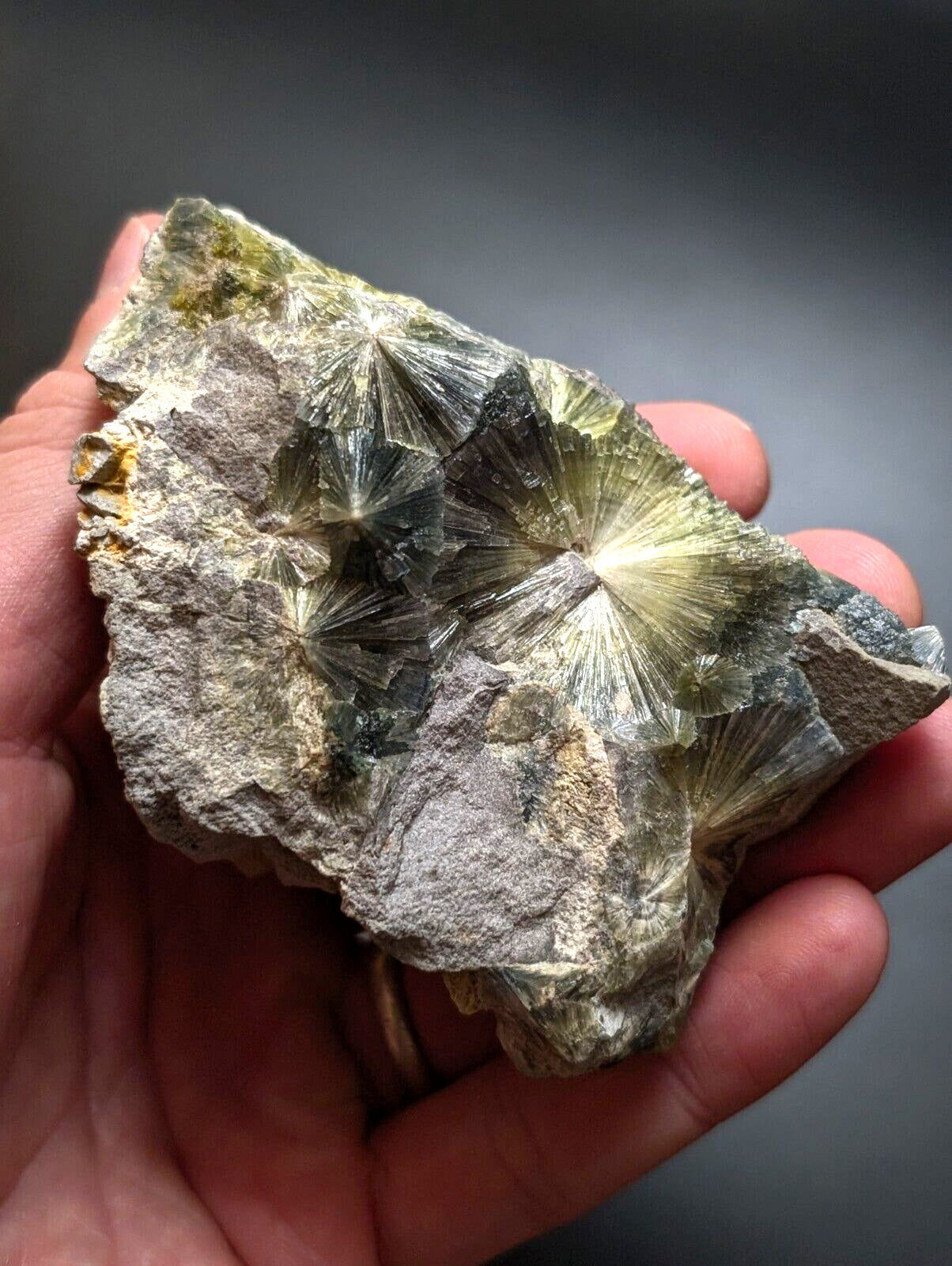 Wavellite, Big Eyes - Old Stock - Delinde Mine, 1960s - Garland County, Arkansas