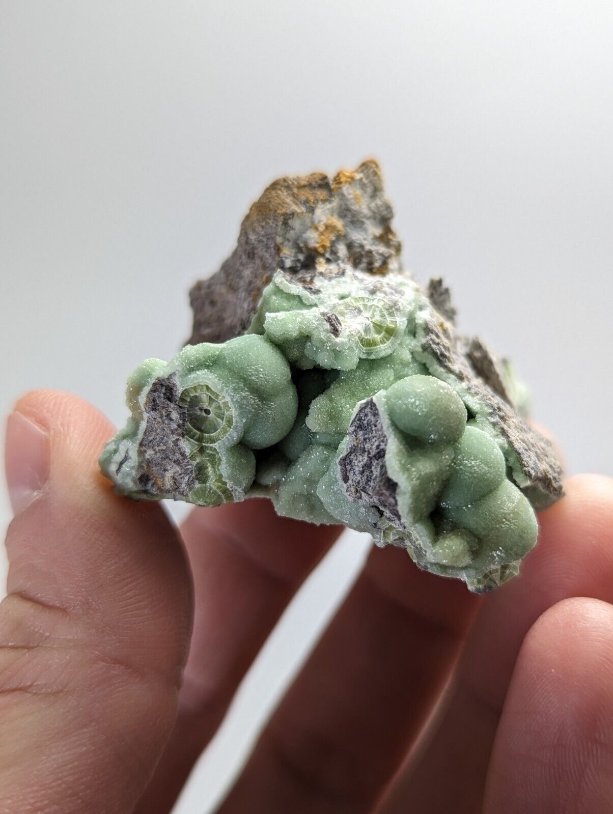 Spectacular Wavellite - Amazing Old Stock - Mauldin Mountain, Arkansas