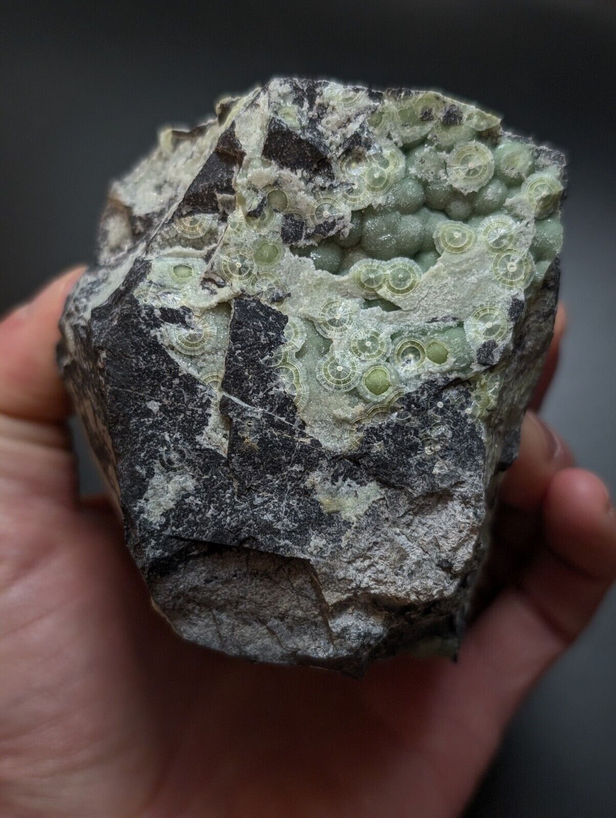 Wavellite -Old Stock - Mauldin Mountain, Arkansas