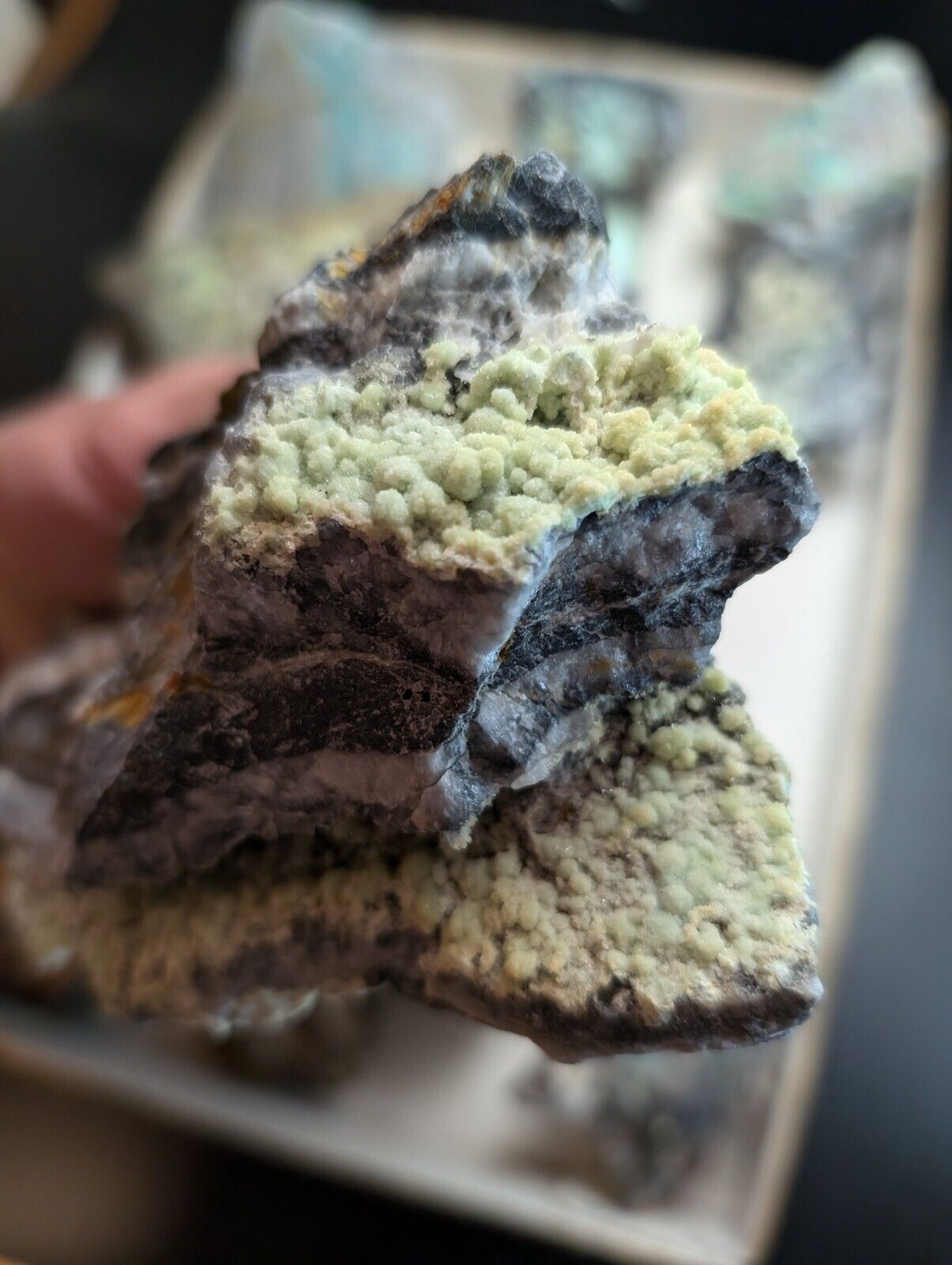 Flat of 12 Wavellite, Planerite, Variscite, Kidwellite Specimens - Arkansas, USA