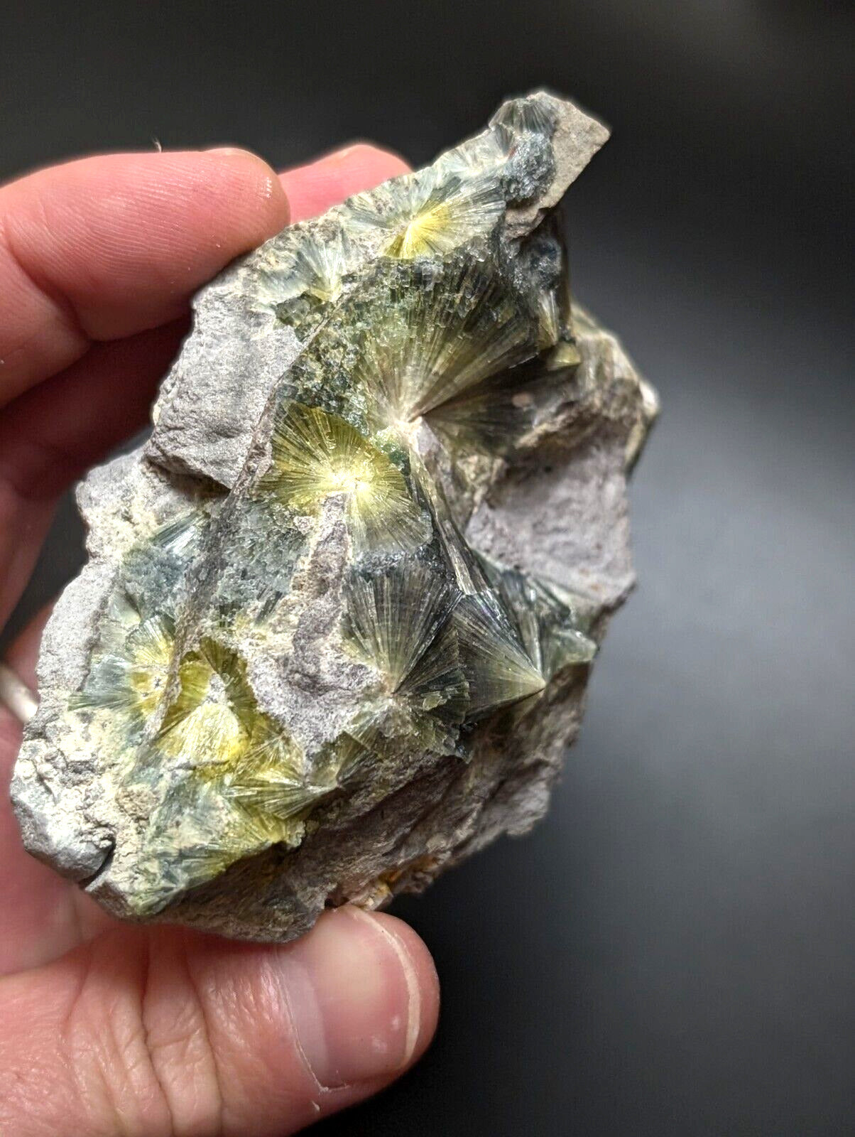 Wavellite, Big Eyes - Old Stock - Delinde Mine, 1960s - Garland County, Arkansas