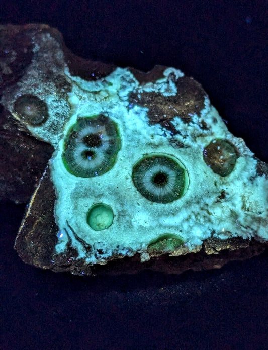 UV Reactive Wavellite -Old Stock - Mauldin Mountain, Arkansas, Amazing Eye Forms