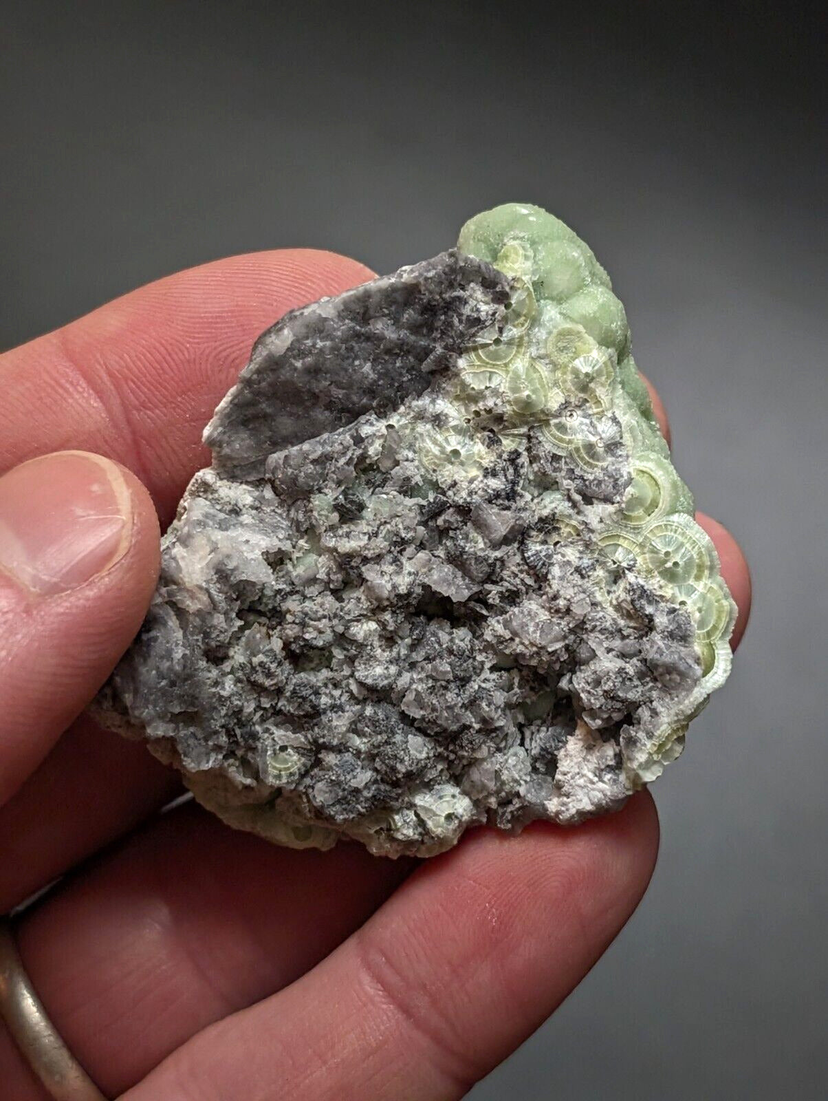 Wavellite -Old Stock - Mauldin Mountain, Arkansas