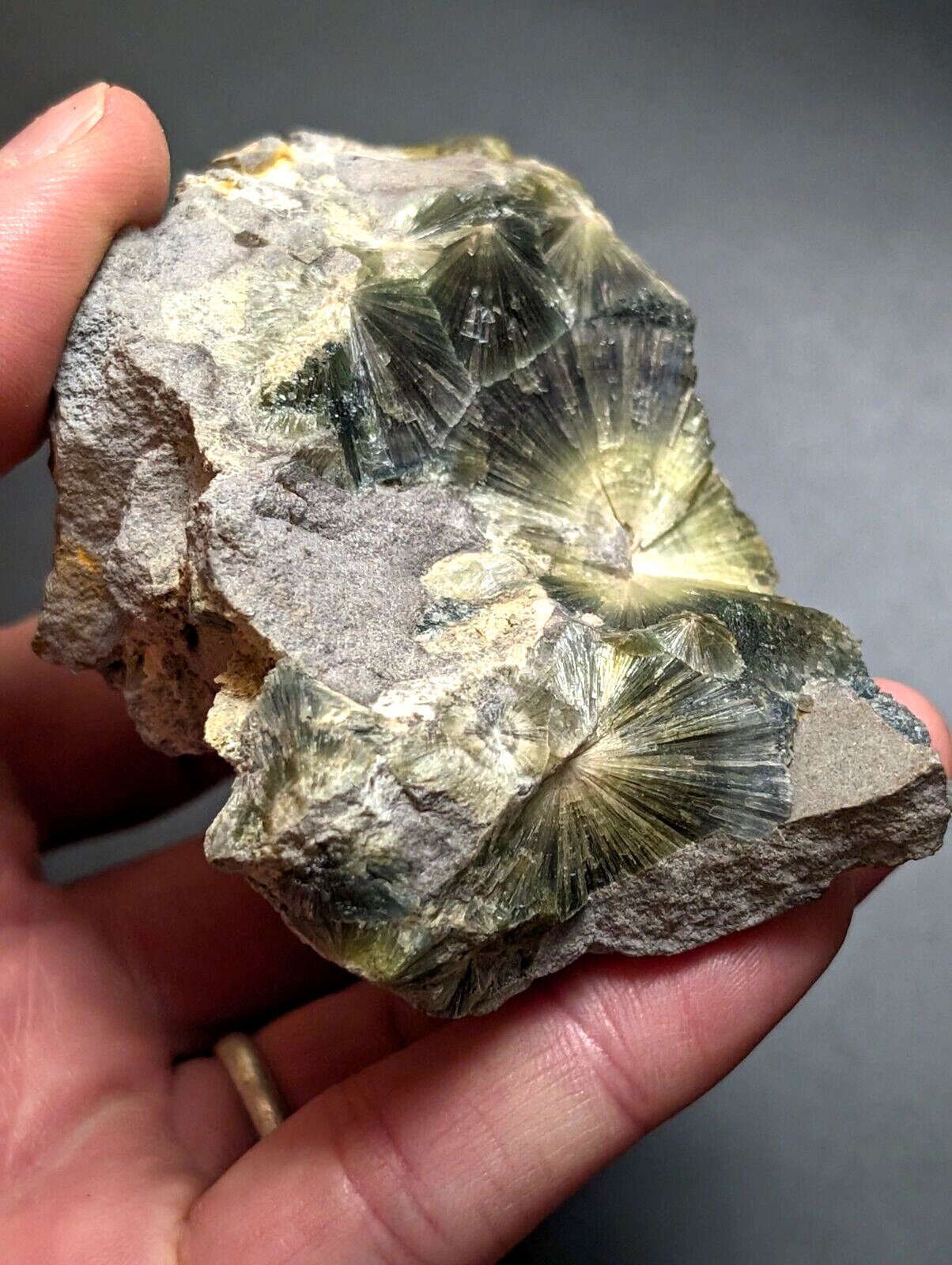 Wavellite, Big Eyes - Old Stock - Delinde Mine, 1960s - Garland County, Arkansas