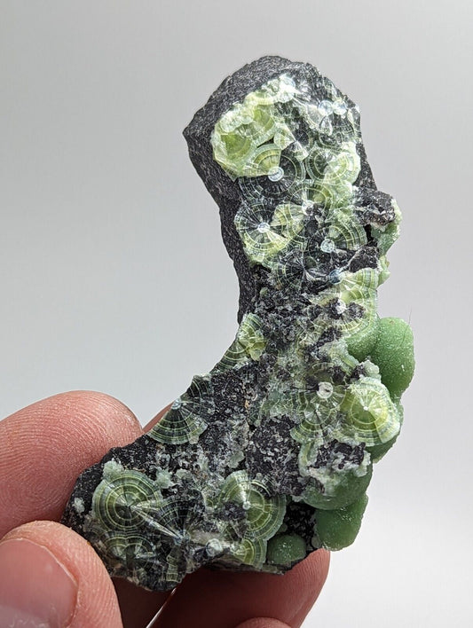 Wavellite - Fantastic 1990s Old Stock - Mauldin Mountain, Arkansas