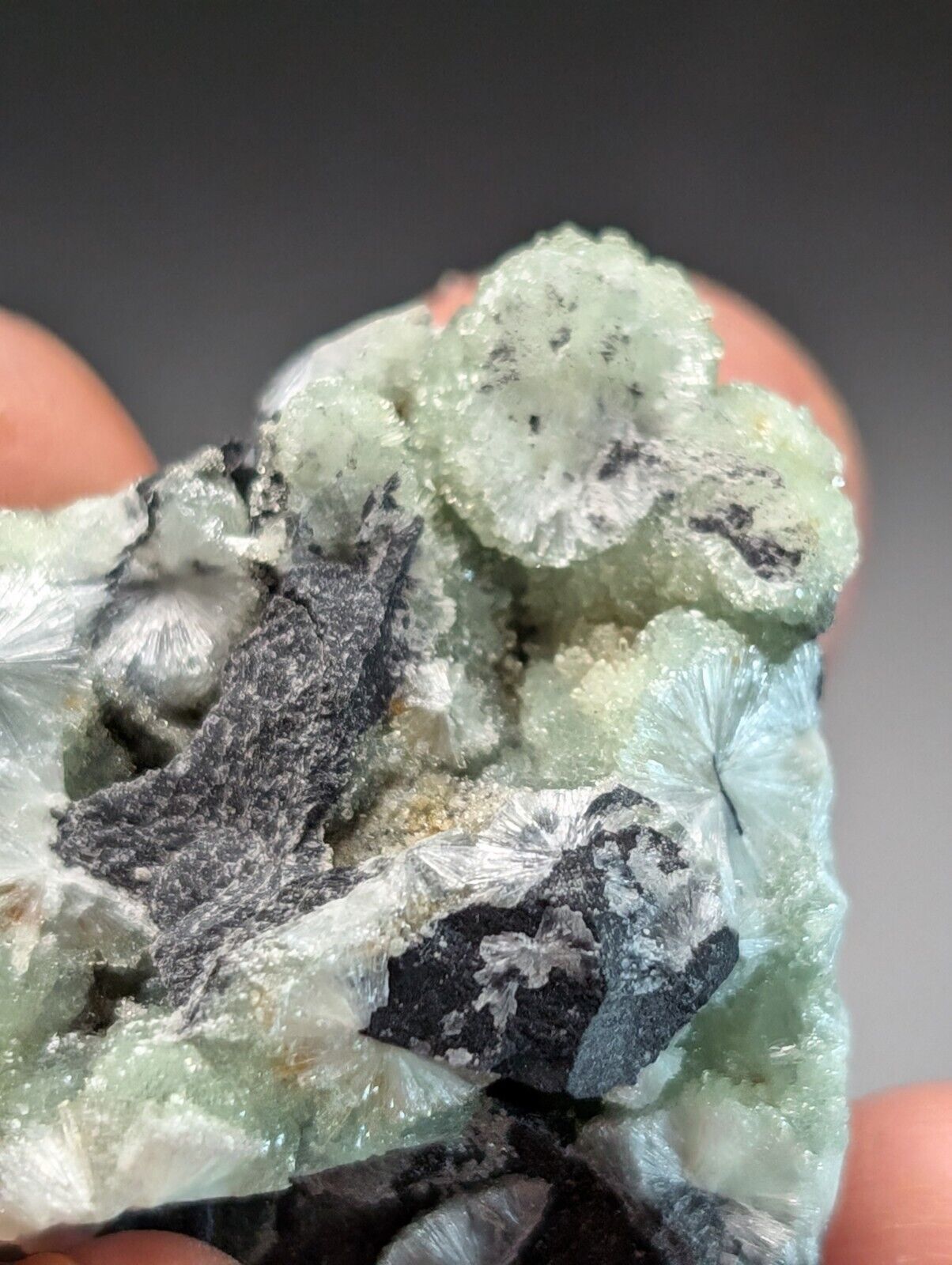 Amazing Wavellite Specimen (Arkansas, USA)  - OOAK Natural Crystal Cluster