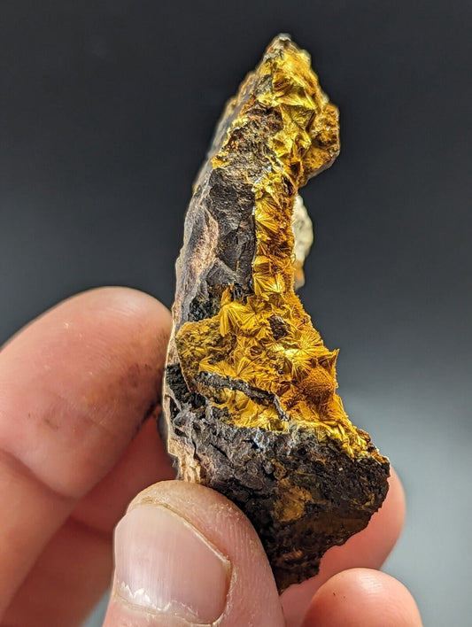 Rare Cacoxenite - Coon Creek / York Mine, Polk Co, Arkansas, Old Stock