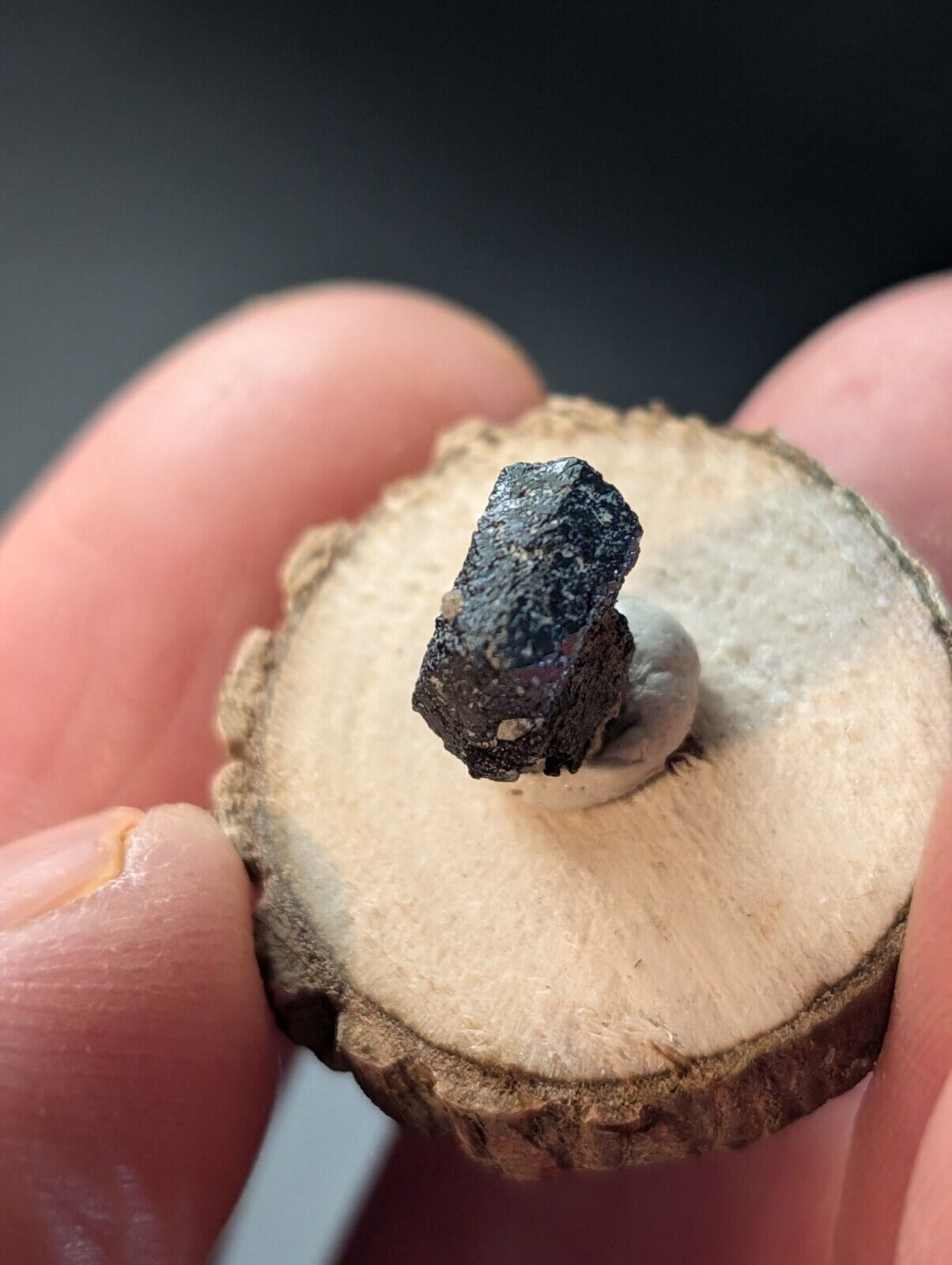 Brookite on Smoky Quartz, Magnet Cove, Arkansas, USA, Old Stock, w/ wood display