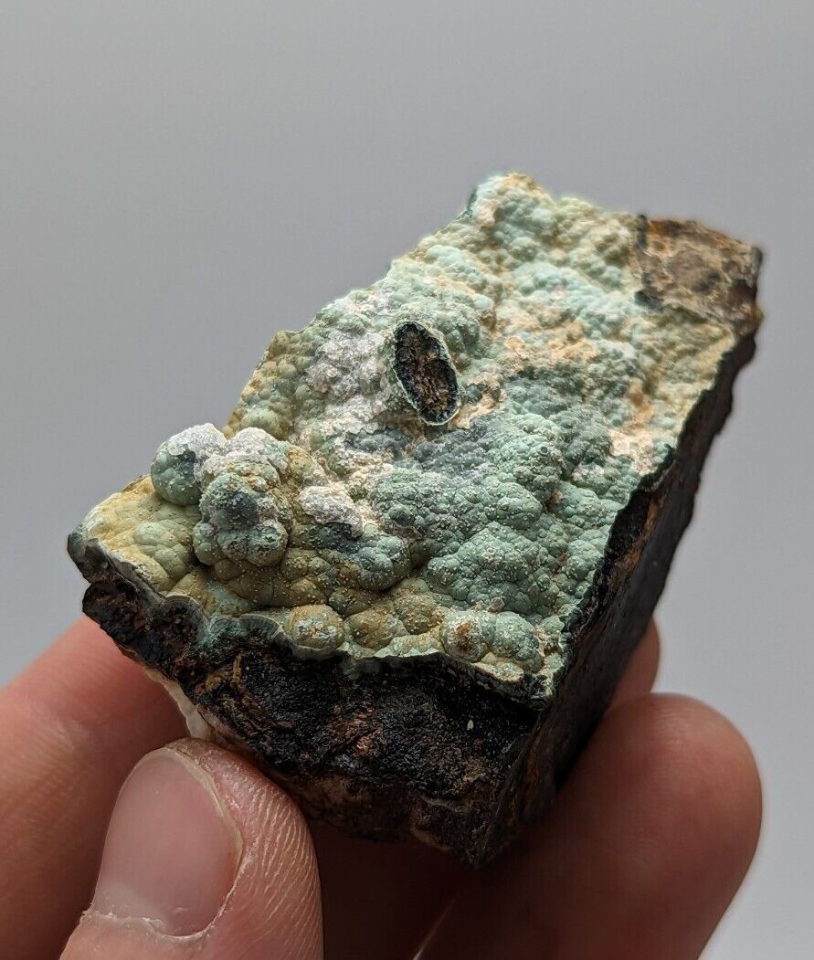 Super Rare Kidwellite, Strengite, Beraunite Combo -York Mine, Polk Co, Arkansas