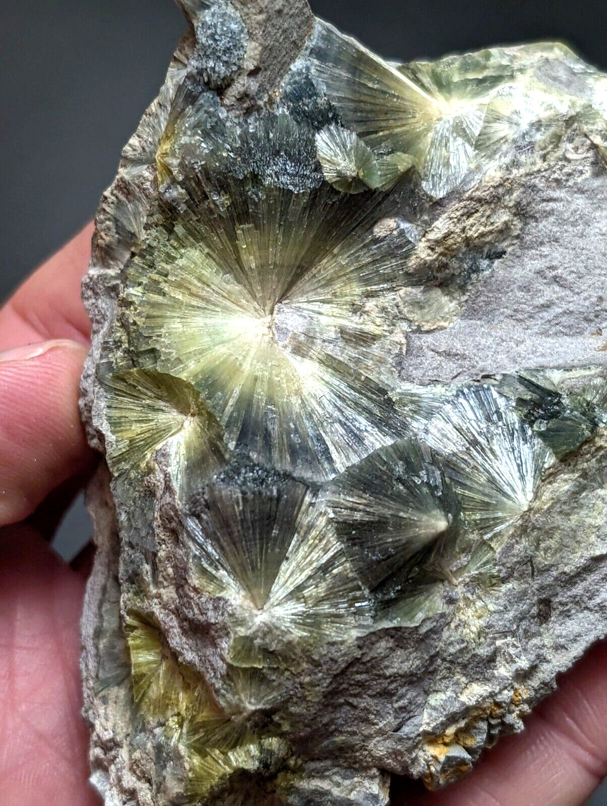 Wavellite, Big Eyes - Old Stock - Delinde Mine, 1960s - Garland County, Arkansas