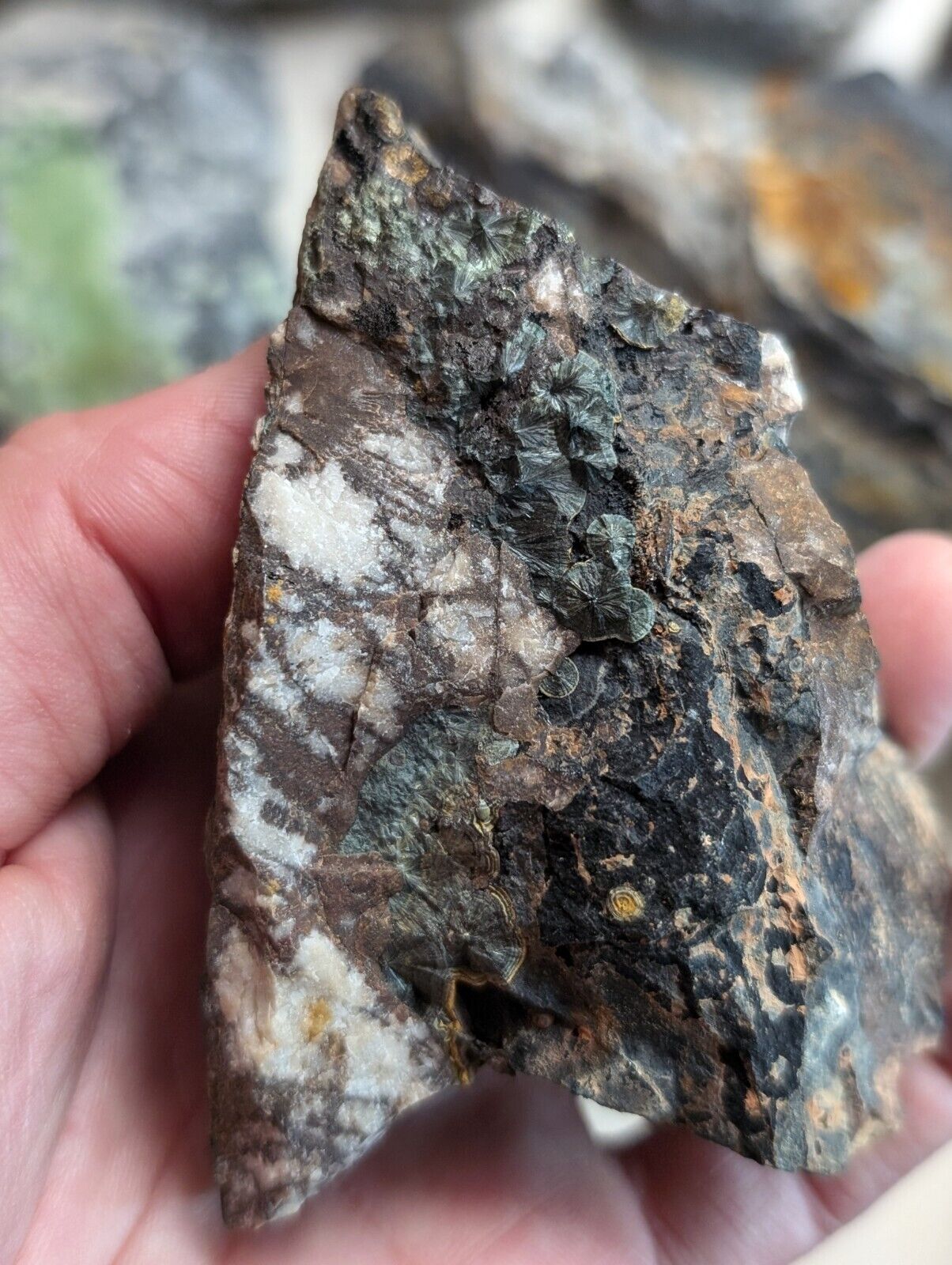 Flat of 12 Wavellite, Planerite, Variscite, Kidwellite Specimens - Arkansas, USA