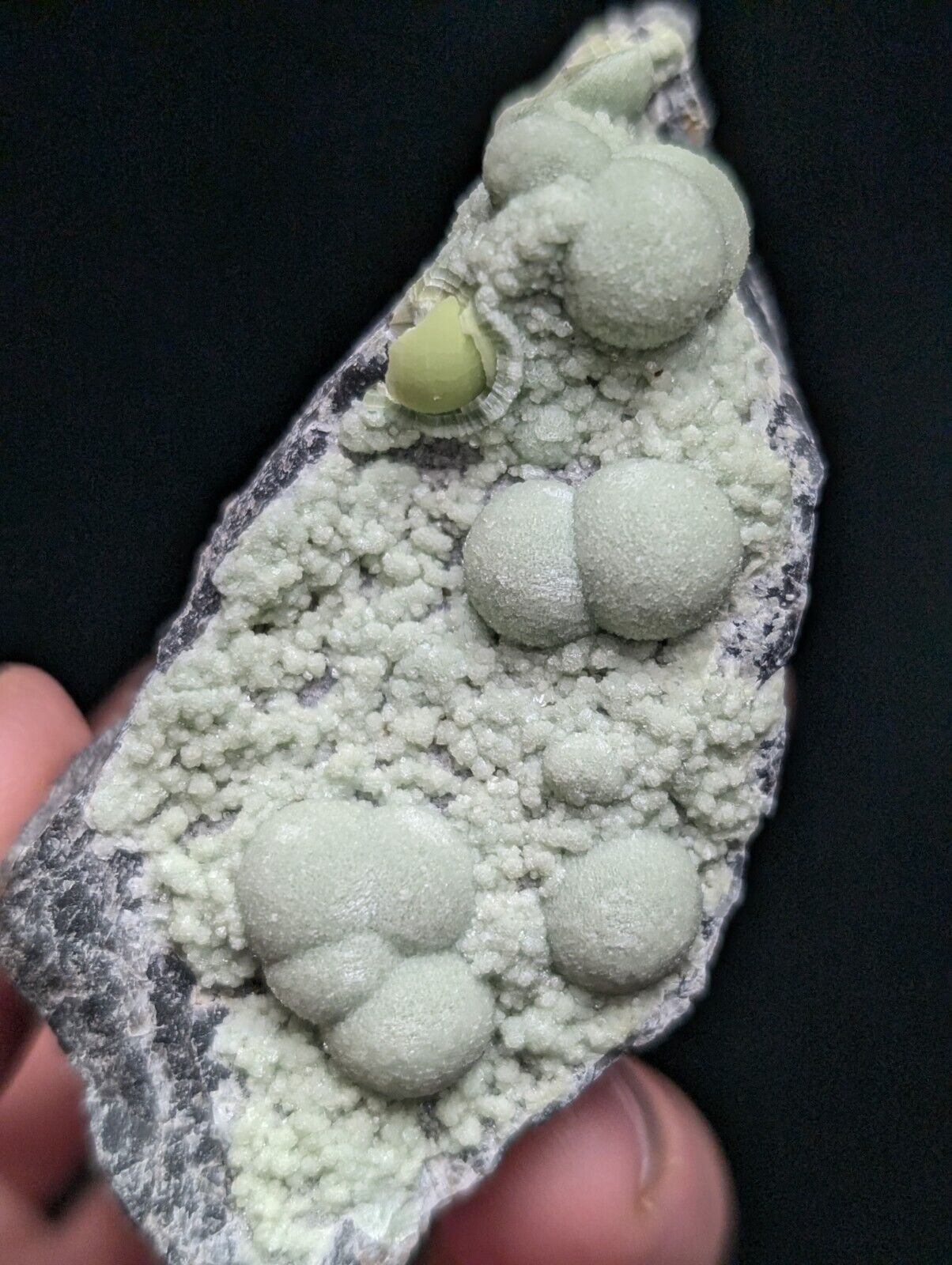 Amazing Wavellite Specimen (Arkansas, USA)  - OOAK Natural Crystal Cluster