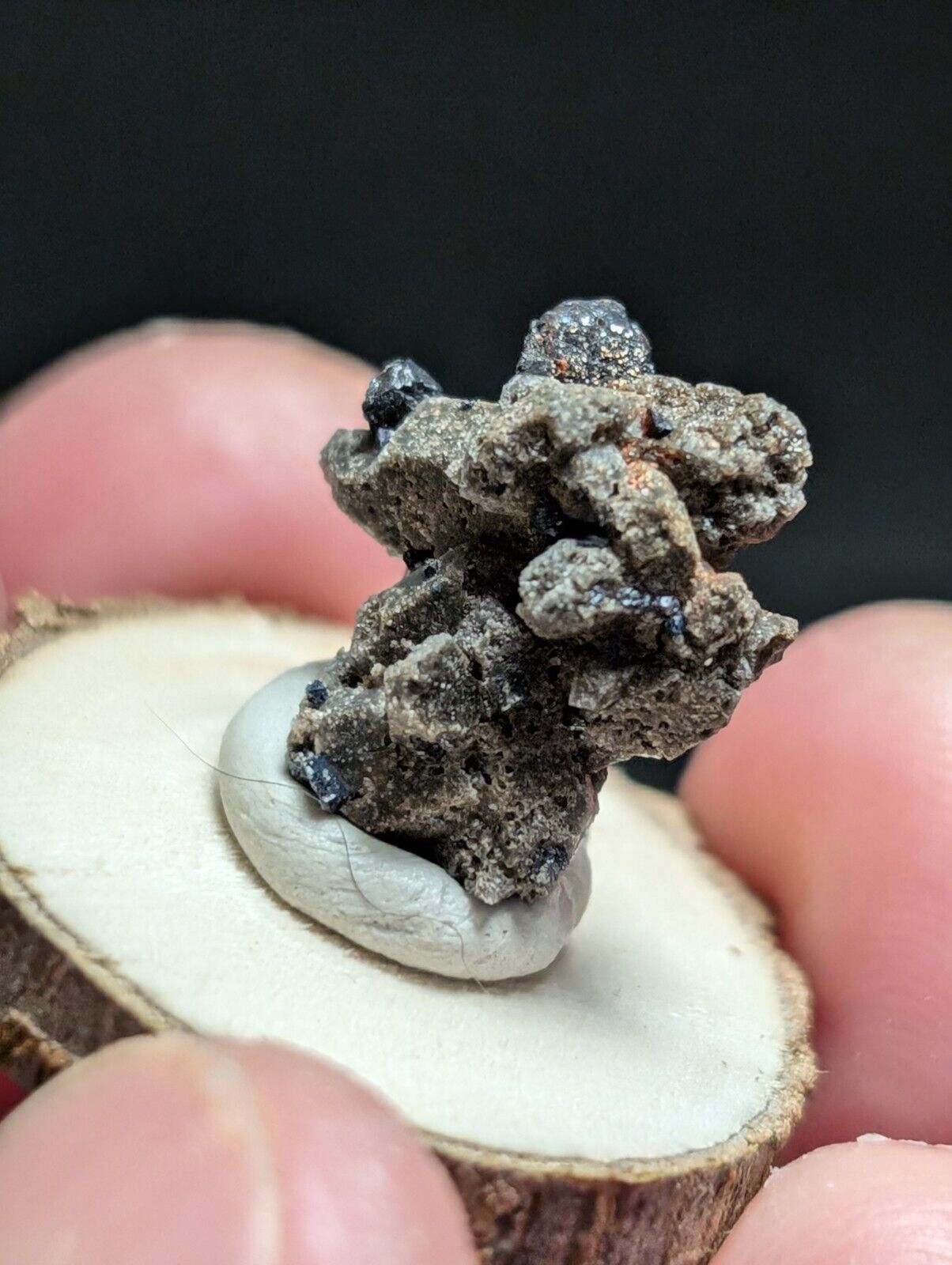 Brookite on Smoky Quartz, Magnet Cove, Arkansas, USA, Old Stock, w/ wood display