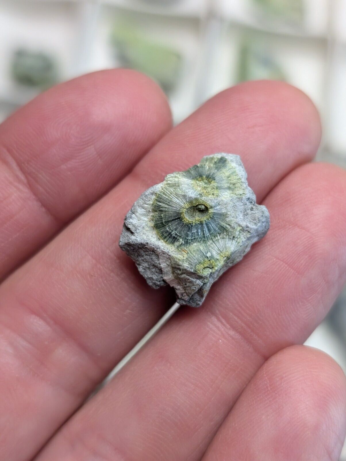 Set of 55 Wavellite Specimens (Arkansas, USA)  - OOAK Natural Crystal Clusters