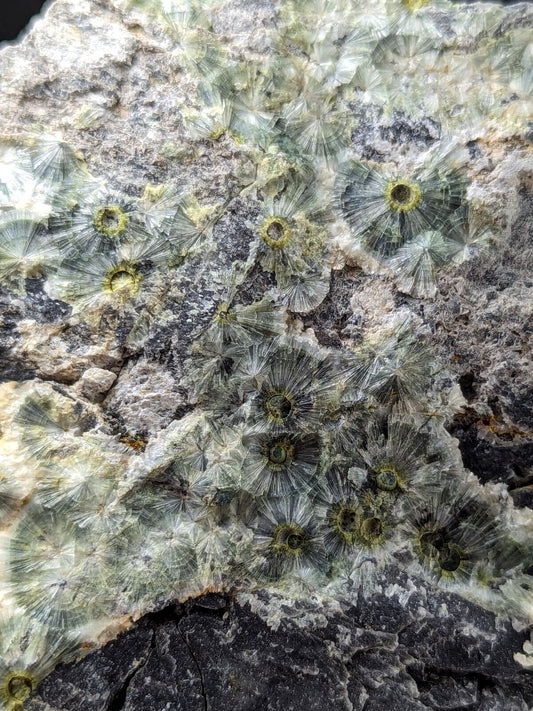 UV Reactive Wavellite -Old Stock - Mauldin Mountain, Arkansas, Amazing Eye Forms