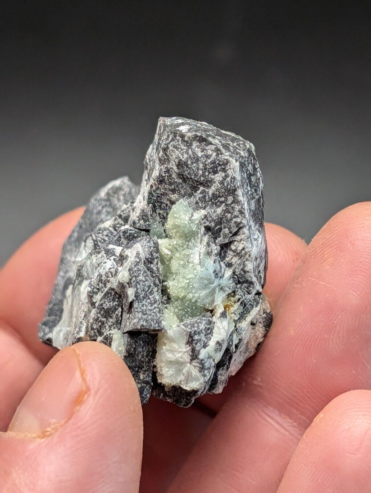 Amazing Wavellite Specimen (Arkansas, USA)  - OOAK Natural Crystal Cluster