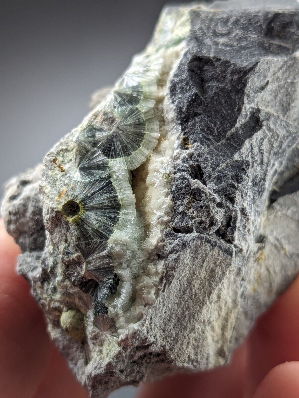 UV Reactive Wavellite -Old Stock - Mauldin Mountain, Arkansas, Amazing Eye Forms