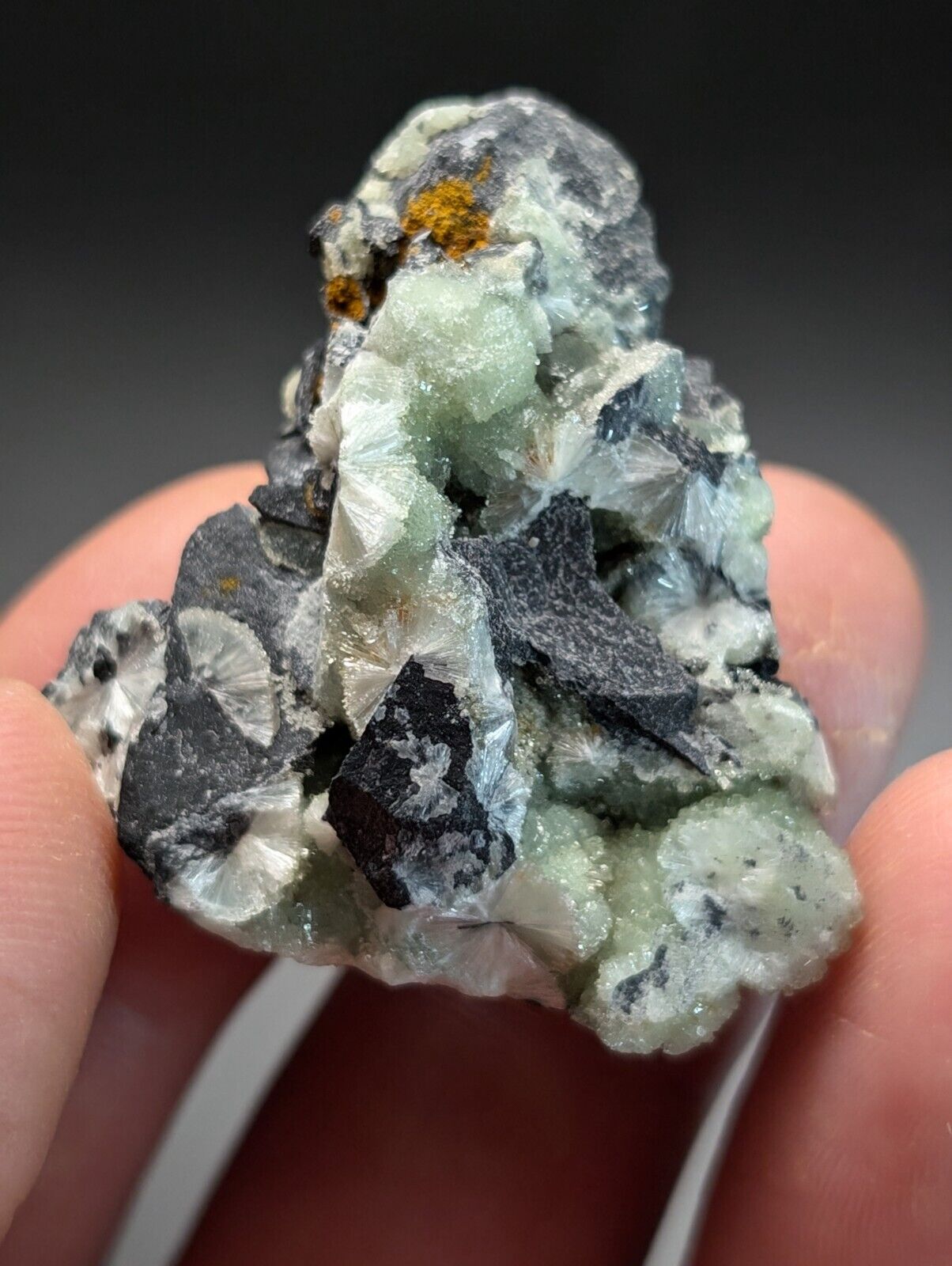 Amazing Wavellite Specimen (Arkansas, USA)  - OOAK Natural Crystal Cluster