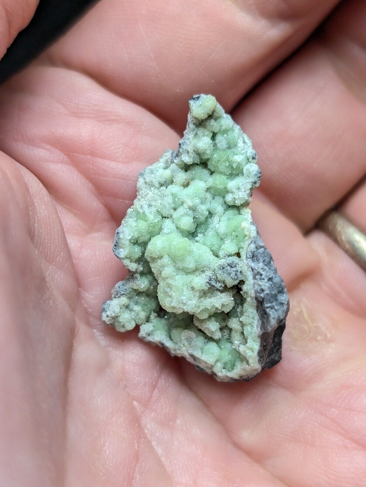 Amazing Wavellite Specimen (Arkansas, USA)  - OOAK Natural Crystal Cluster