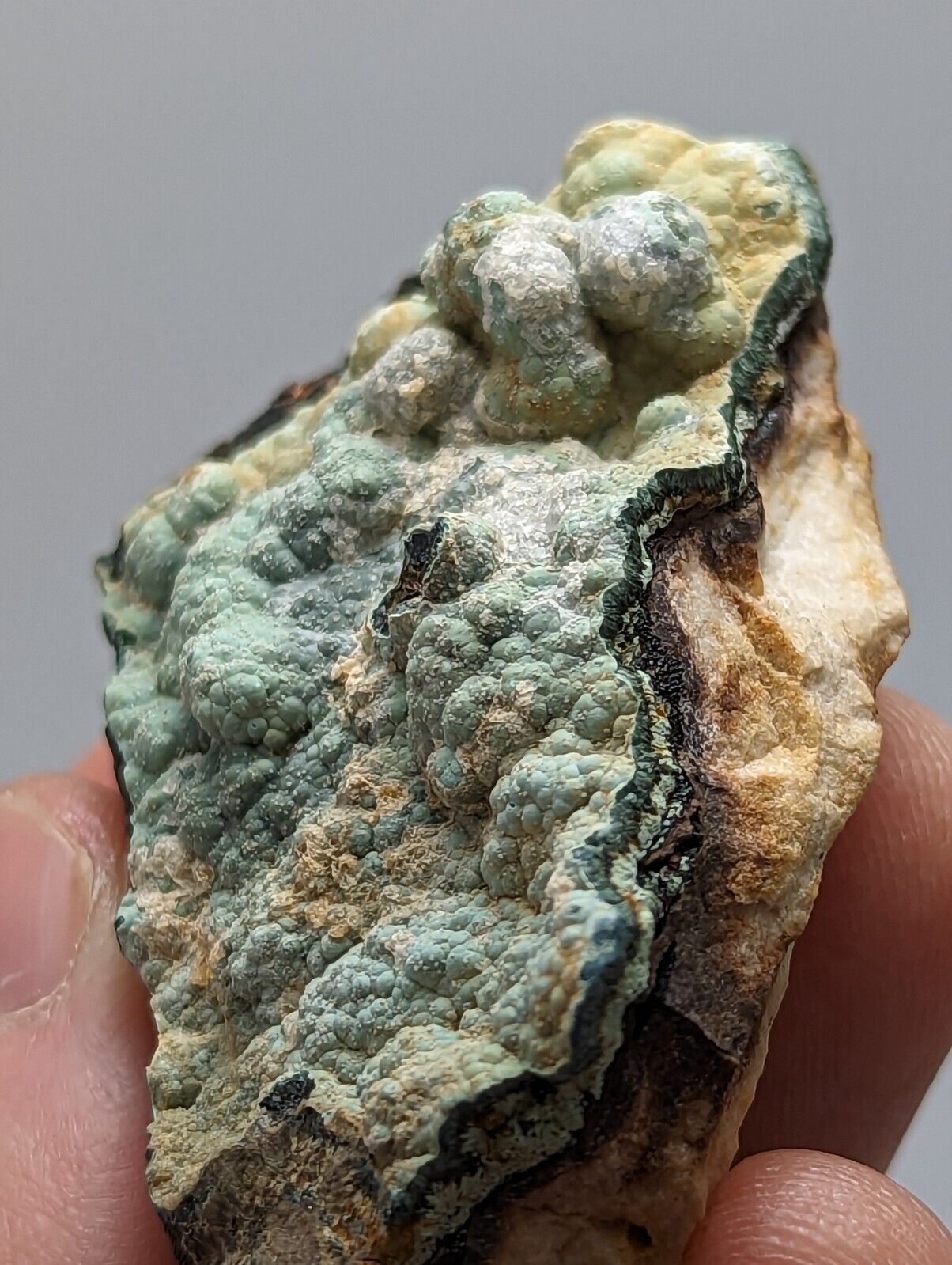 Super Rare Kidwellite, Strengite, Beraunite Combo -York Mine, Polk Co, Arkansas