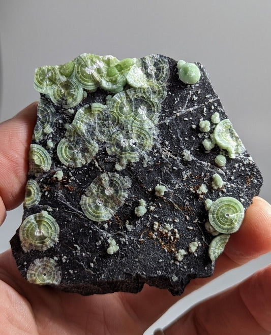 Wavellite - Fantastic Old Stock - Mauldin Mountain, Arkansas