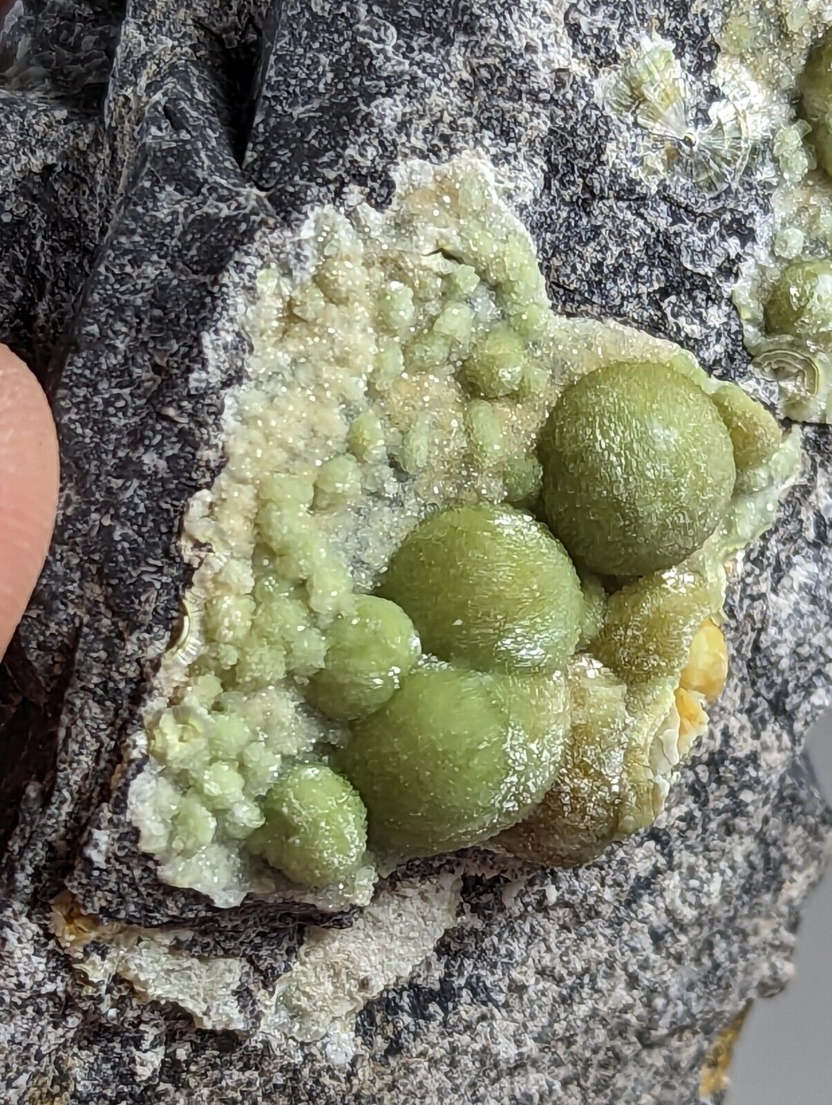 Amazing Wavellite - Old Stock - Mauldin Mountain, Arkansas