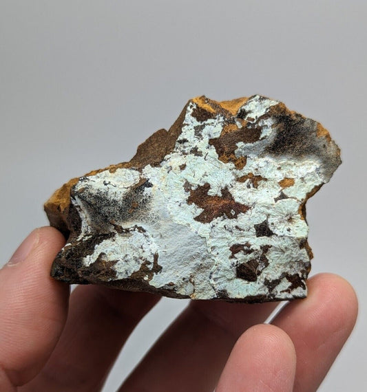 Planerite on Novaculite - Very RARE - old stock 1970s- York Mine, Polk, Arkansas