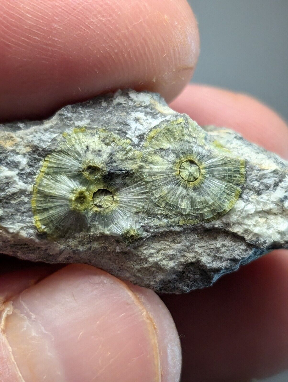 UV Reactive Wavellite -Old Stock - Mauldin Mountain, Arkansas, Amazing Eye Forms