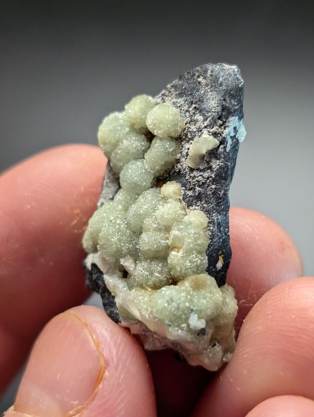 Amazing A+ Wavellite Specimen (Arkansas, USA)  - OOAK Natural Crystal Cluster