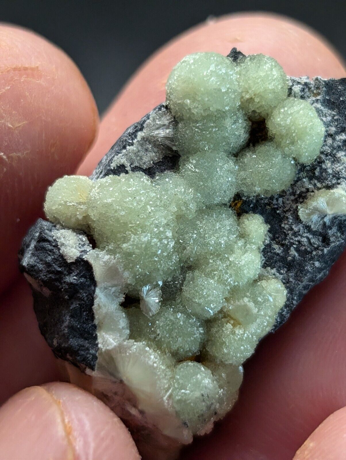 Amazing A+ Wavellite Specimen (Arkansas, USA)  - OOAK Natural Crystal Cluster