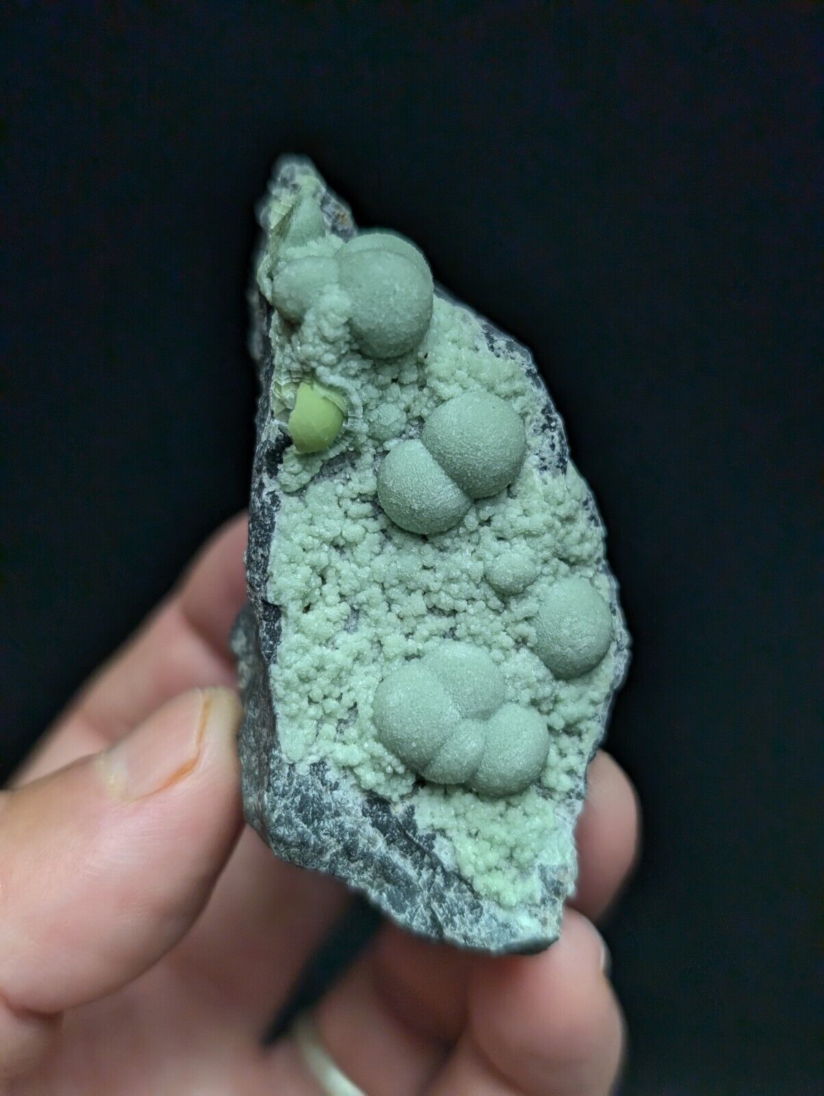 Amazing Wavellite Specimen (Arkansas, USA)  - OOAK Natural Crystal Cluster