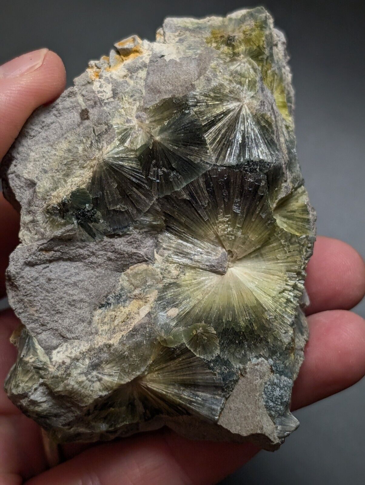 Wavellite, Big Eyes - Old Stock - Delinde Mine, 1960s - Garland County, Arkansas