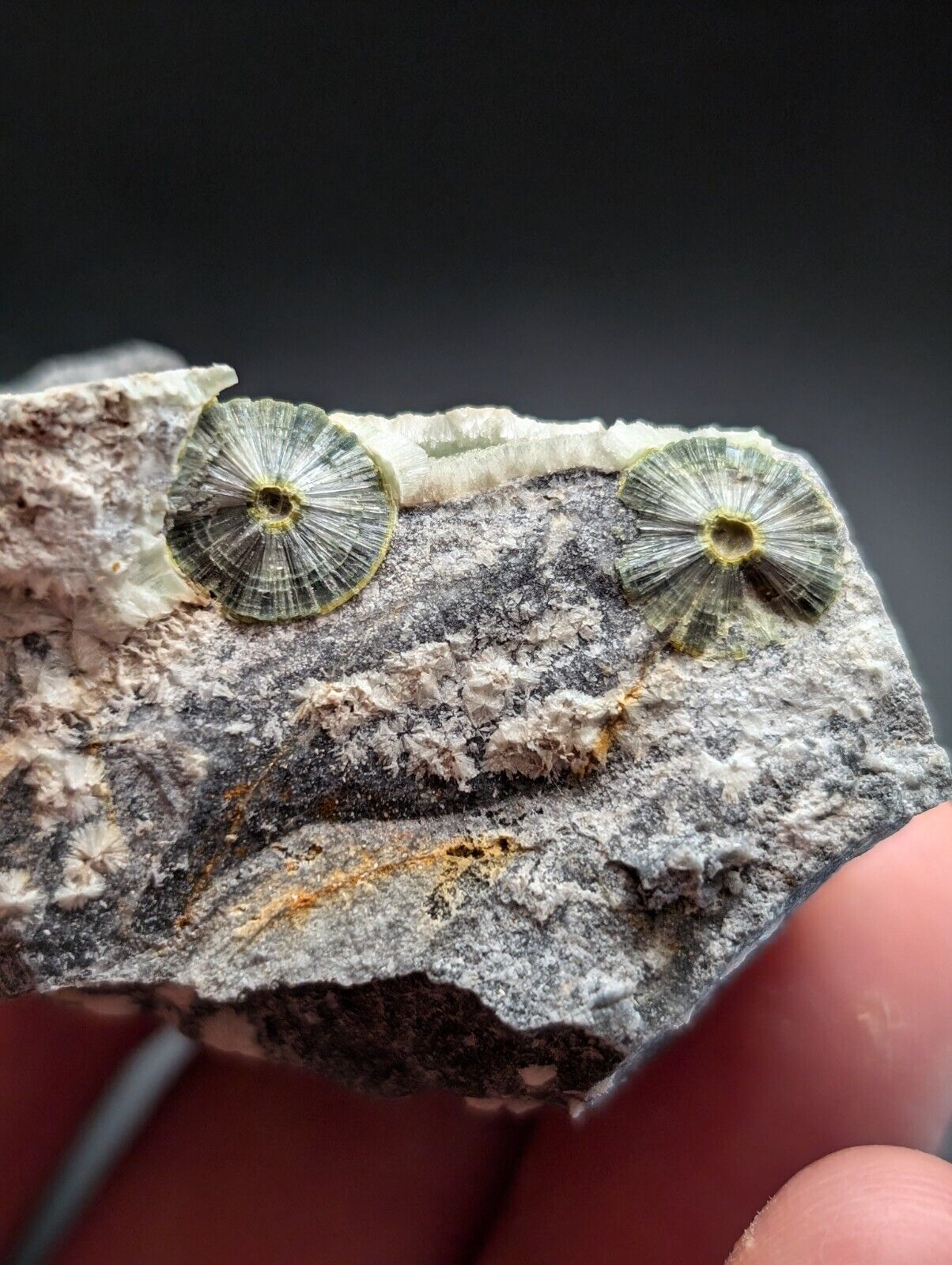 UV Reactive Wavellite -Old Stock - Mauldin Mountain, Arkansas, Amazing Eye Forms