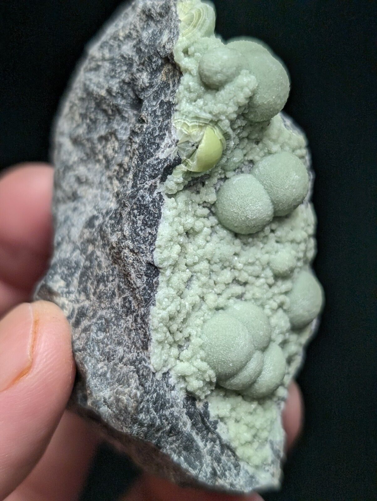 Amazing Wavellite Specimen (Arkansas, USA)  - OOAK Natural Crystal Cluster