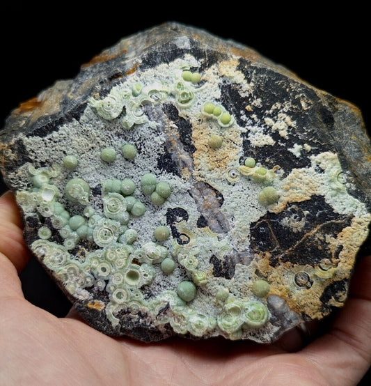 Wavellite display piece- Fantastic Old Stock- Mauldin Mountain, Arkansas, 2+ lbs