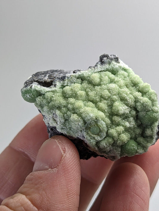 Wavellite - Mauldin Mountain, Montgomery County, Arkansas