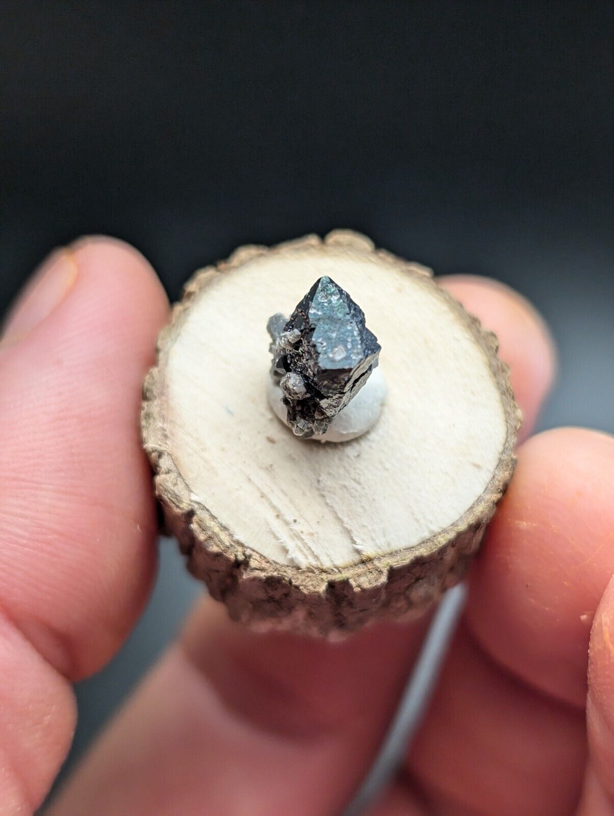 Brookite on Smoky Quartz, Magnet Cove, Arkansas, USA, Old Stock, w/ wood display