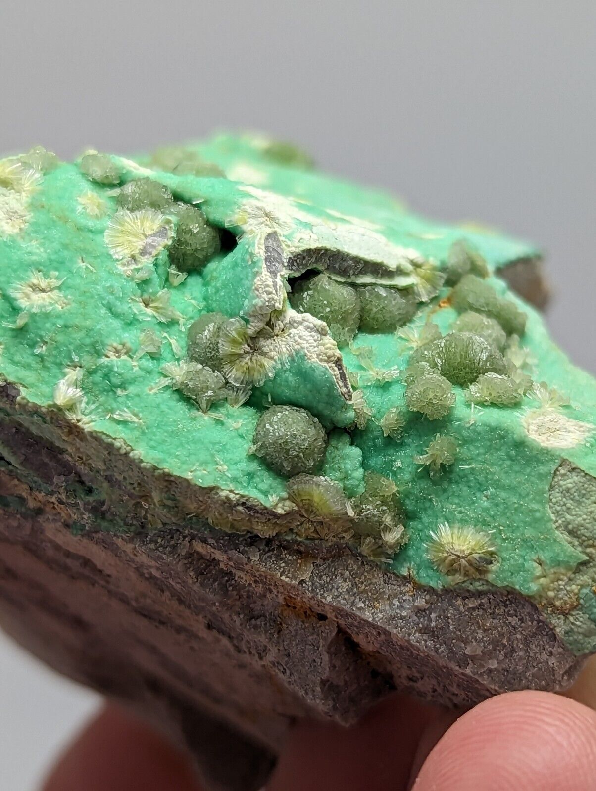 Variscite + Wavellite + Kidwellite. 416.0 ct. Beauvoir, Échassières, France top