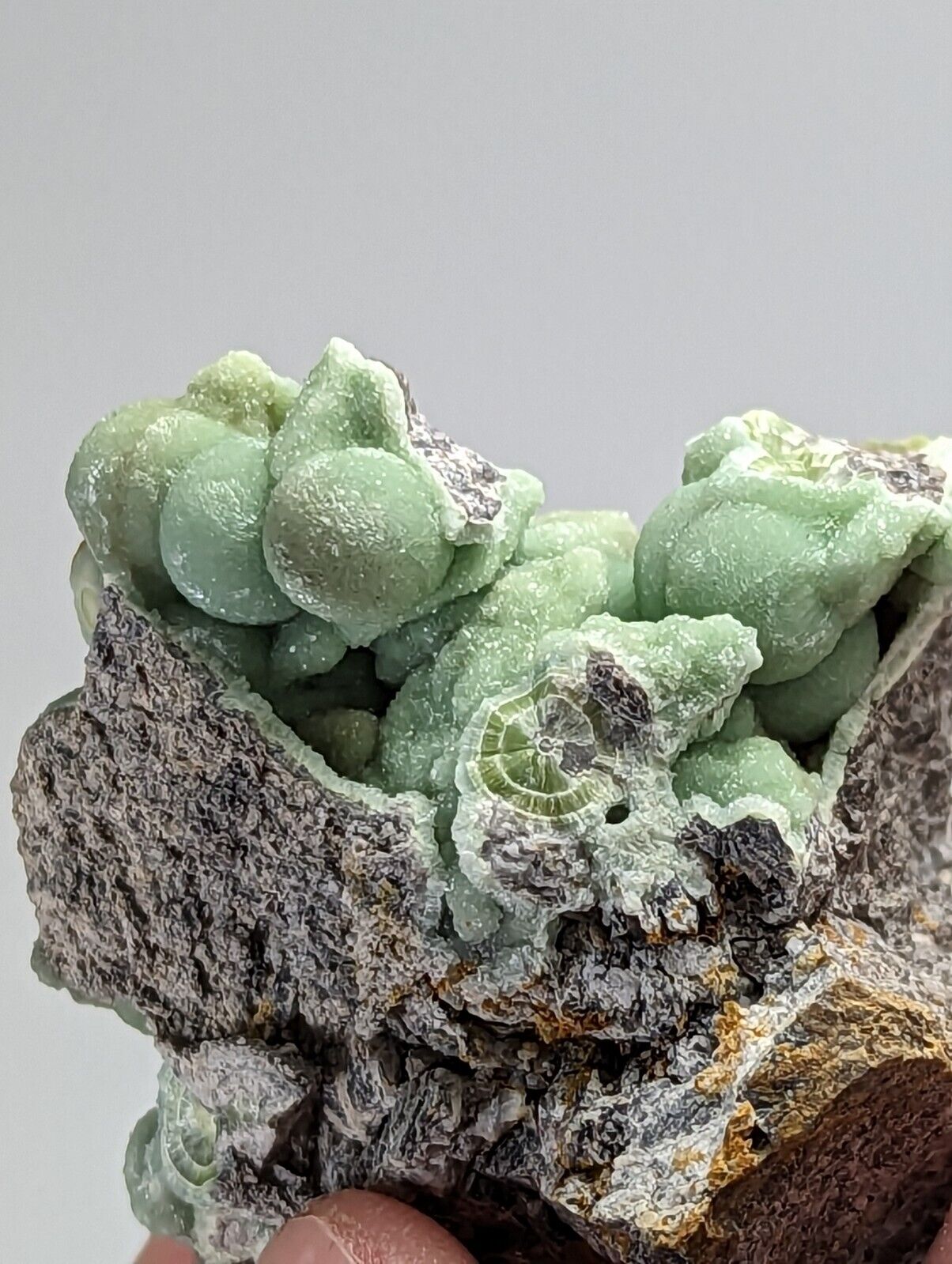 Spectacular Wavellite - Amazing Old Stock - Mauldin Mountain, Arkansas